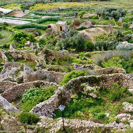 Ta Oneira * Zebbug (Gozo)